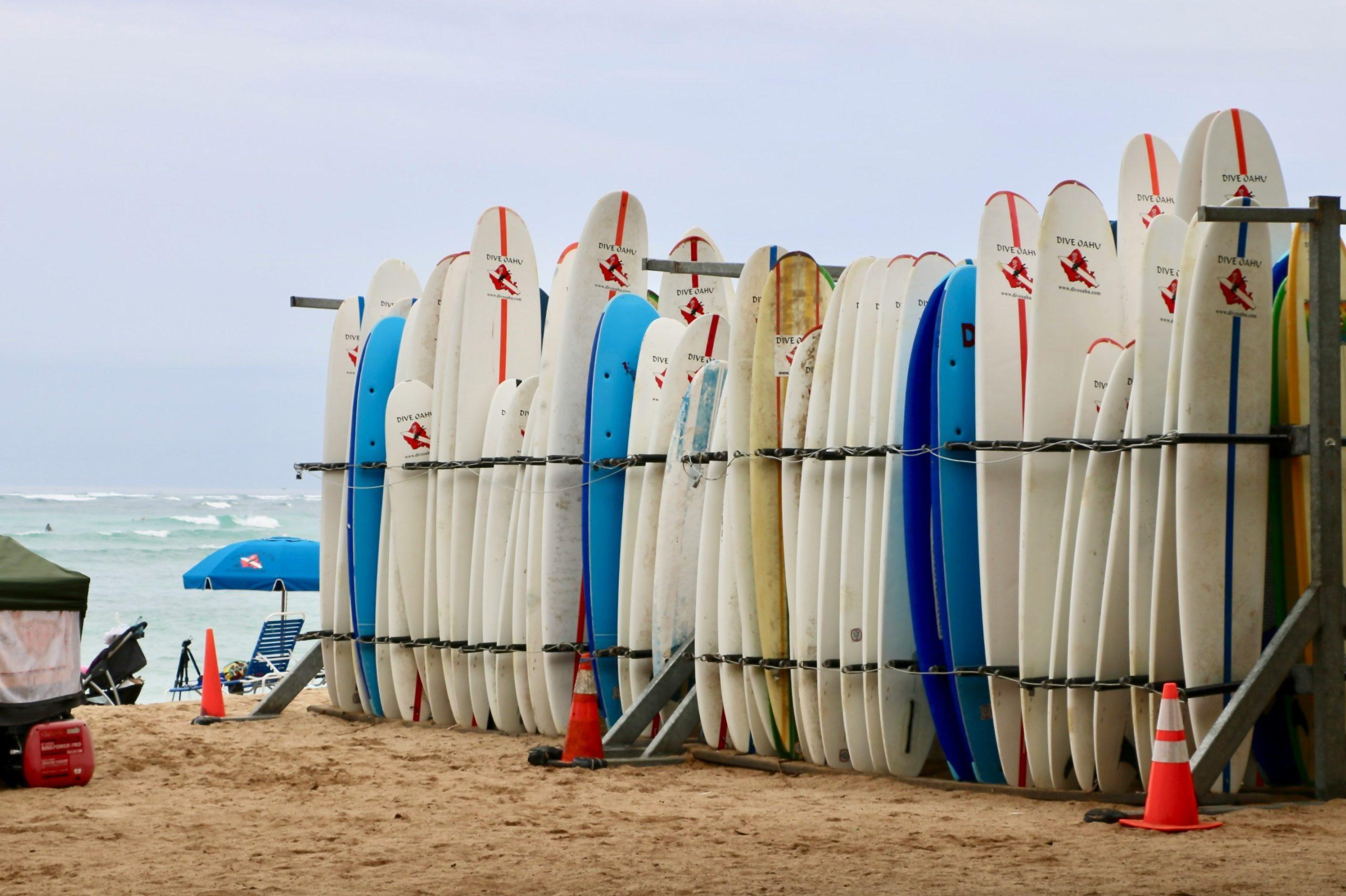 Various surfboard bags including hard cases and soft sleeves