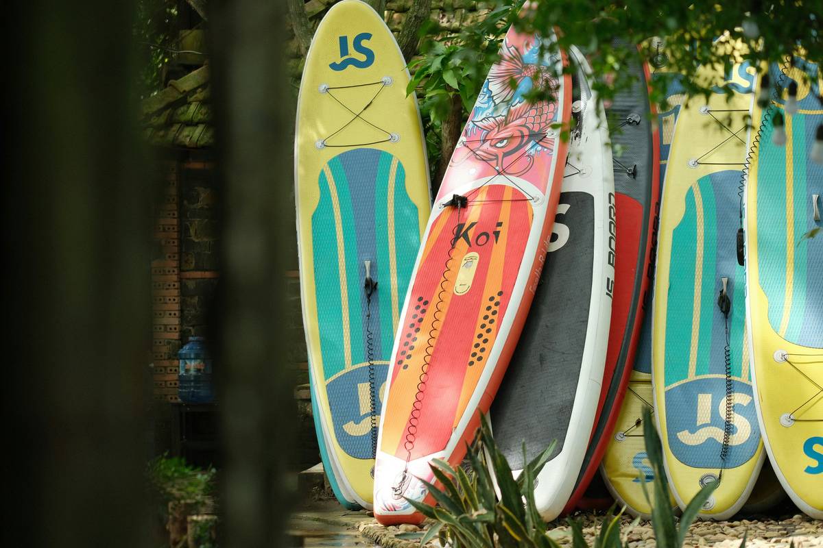 A surfboard properly secured within a wave shield shield