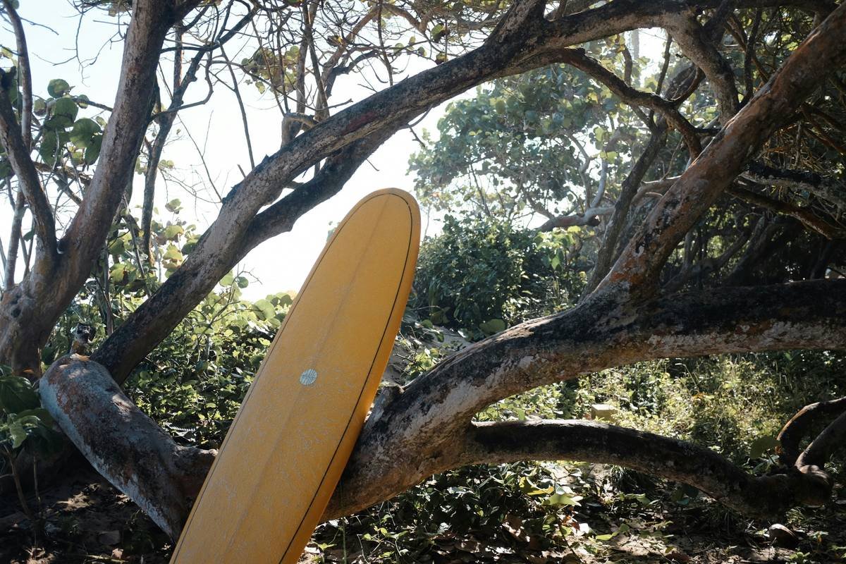 Why Every Surfer Needs a Surfboard Truck: The Ultimate Guide to Hauling Your Gear