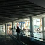 Surfboard Transport Equipment Reviews: The Only Guide You’ll Need Before Flying With Your Board