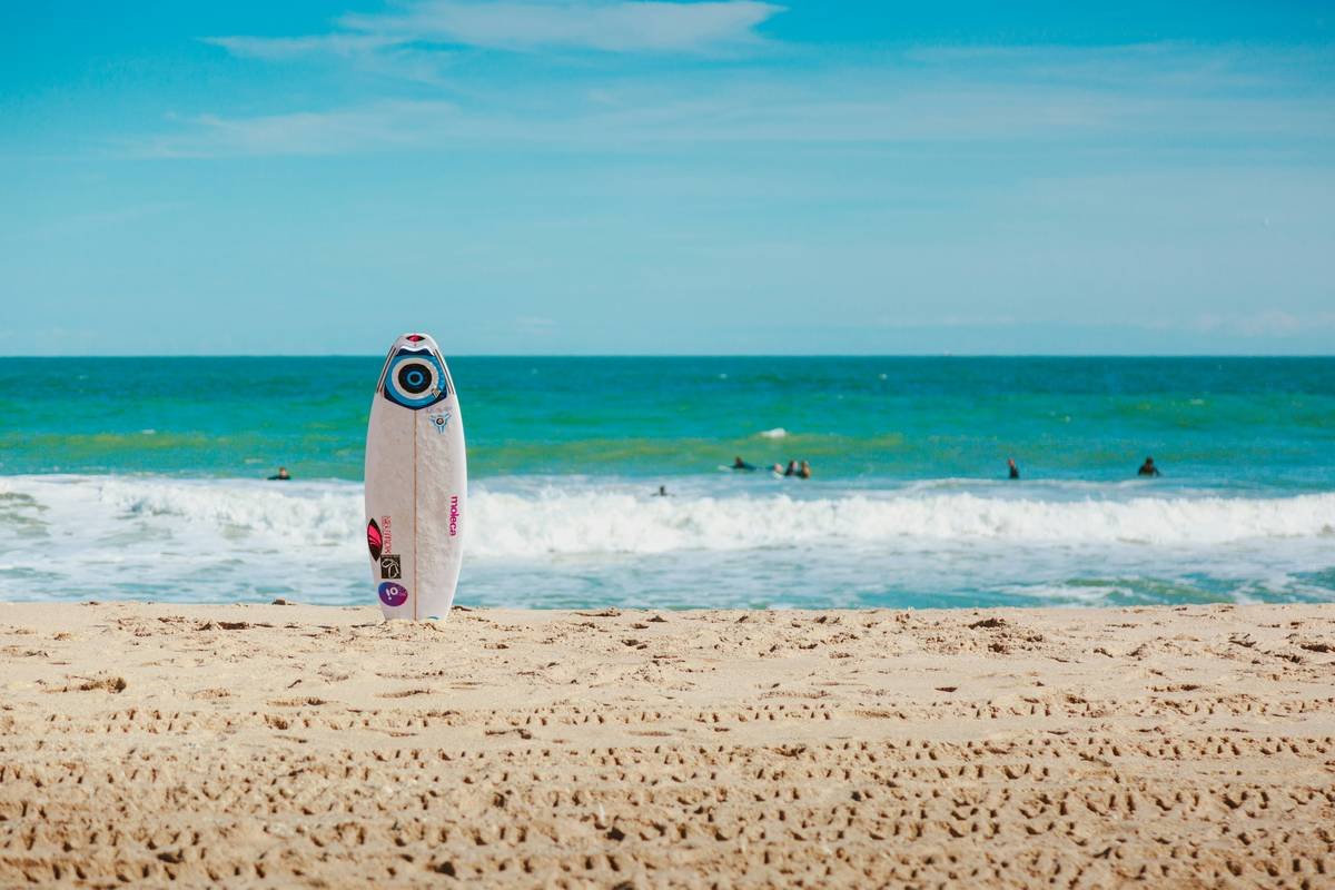 Wave Shield Surfboard How Do You Protect Your Board on the Road?
